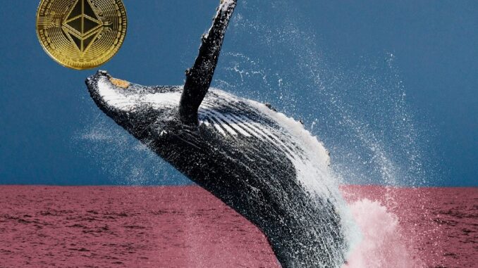 Whale Moves Ethereum (ETH) From Liquidity Pools to Binance Dump Coming