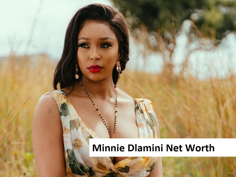 Minnie Dlamini net worth 2023